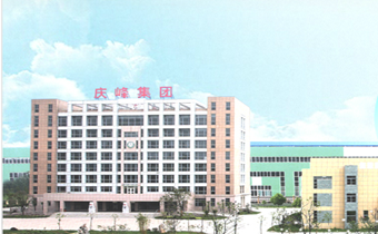 江苏庆峰国际环保工程有限公司合作案例
