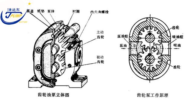 2CG硬齿面渣油泵剖析图