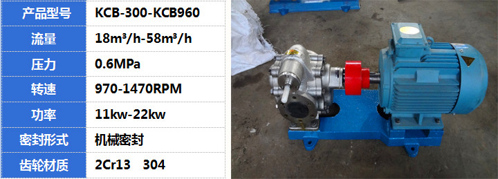 KCB不锈钢齿轮泵产品展示