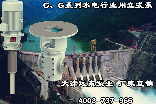 C、G系列水电行业用立式泵